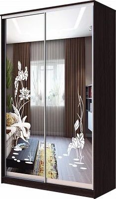 Шкаф-купе ХИТ 23-15-66 ЦАПЛИ в Кургане - kurgan.mebel24.online | фото
