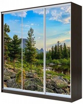 Шкаф-купе ХИТ 23-20/2-777 ПРИРОДА в Кургане - kurgan.mebel24.online | фото