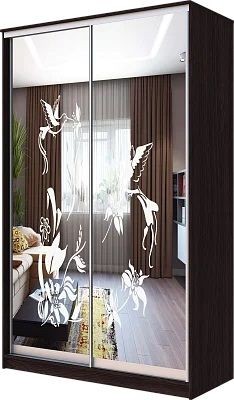 Шкаф-купе ХИТ 23-4-12/2-66 КОЛИБРИ в Кургане - kurgan.mebel24.online | фото