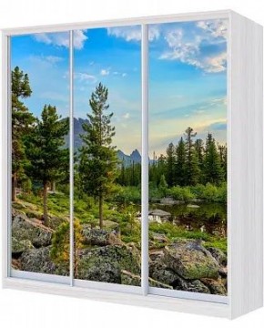 Шкаф-купе ХИТ 23-4-20/2-777 ПРИРОДА в Кургане - kurgan.mebel24.online | фото