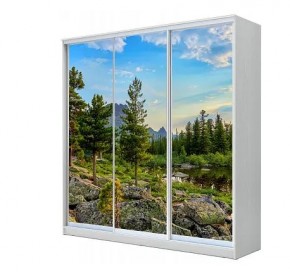 Шкаф-купе ХИТ 23-4-20-777 (420) в Кургане - kurgan.mebel24.online | фото