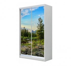 Шкаф-купе ХИТ 24-12/2-77 (620) в Кургане - kurgan.mebel24.online | фото