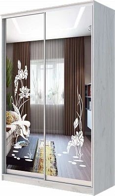 Шкаф-купе ХИТ 24-14-66 ЦАПЛИ в Кургане - kurgan.mebel24.online | фото