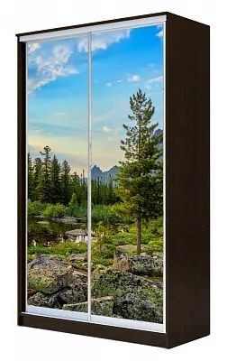 Шкаф-купе ХИТ 24-17-77 ПРИРОДА в Кургане - kurgan.mebel24.online | фото