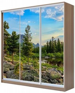 Шкаф-купе ХИТ 24-20/2-777 ПРИРОДА в Кургане - kurgan.mebel24.online | фото
