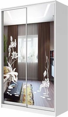 Шкаф-купе ХИТ 24-4-15-66 ЦАПЛИ в Кургане - kurgan.mebel24.online | фото