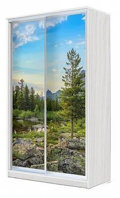 Шкаф-купе ХИТ 24-4-15-77 ПРИРОДА в Кургане - kurgan.mebel24.online | фото