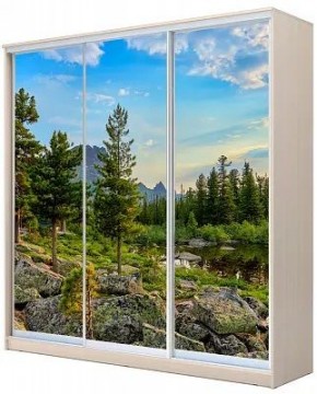 Шкаф-купе ХИТ 24-4-20-777 ПРИРОДА в Кургане - kurgan.mebel24.online | фото