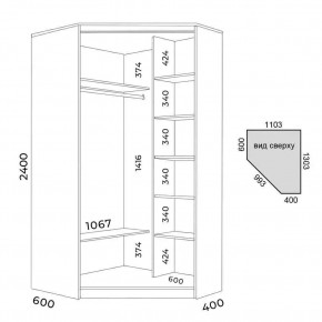 Шкаф-купе ХИТ-У-L-24-64-11 в Кургане - kurgan.mebel24.online | фото 3