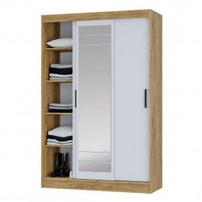 Шкаф-купе Тео ШКК-02 (крафт/белый) в Кургане - kurgan.mebel24.online | фото 4