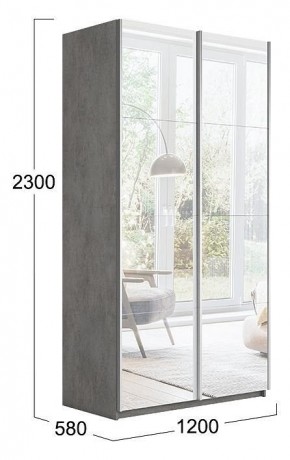 Шкаф-купе Траст СШК 2.120.60-13.13 в Кургане - kurgan.mebel24.online | фото 3