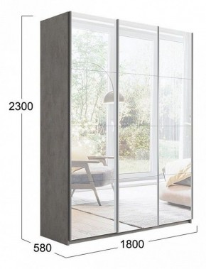 Шкаф-купе Траст СШК 2.180.60-13.13.13 в Кургане - kurgan.mebel24.online | фото 3