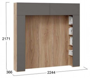 Шкаф навесной Порто СМ-393.21.022-23 в Кургане - kurgan.mebel24.online | фото 5
