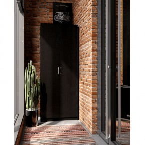 Шкаф ПЕГАС двухдверный, цвет Дуб Венге в Кургане - kurgan.mebel24.online | фото 4