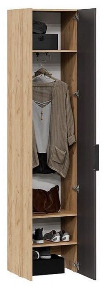 Шкаф платяной Асти в Кургане - kurgan.mebel24.online | фото 3