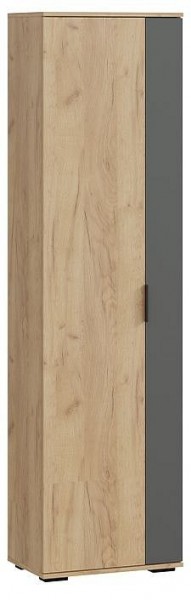 Шкаф платяной Эвита в Кургане - kurgan.mebel24.online | фото