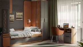 Шкаф платяной Хилтон Исп. 2 в Кургане - kurgan.mebel24.online | фото 5