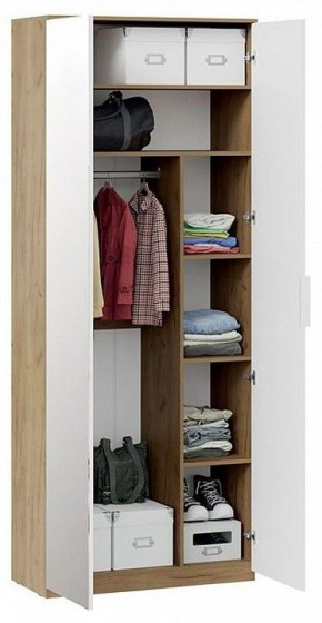 Шкаф платяной Хилтон Исп. 2.1 в Кургане - kurgan.mebel24.online | фото 4