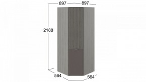 Шкаф платяной Либерти СМ-297.07.033 в Кургане - kurgan.mebel24.online | фото 3