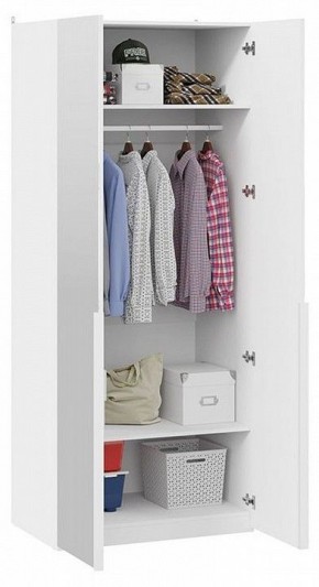 Шкаф платяной Порто СМ-393.07.004 в Кургане - kurgan.mebel24.online | фото 4