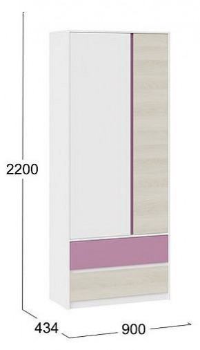 Шкаф платяной Сканди в Кургане - kurgan.mebel24.online | фото 5