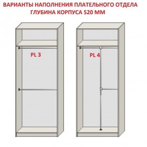 Шкаф распашной серия «ЗЕВС» (PL3/С1/PL2) в Кургане - kurgan.mebel24.online | фото 10