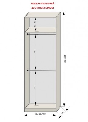 Шкаф распашной серия «ЗЕВС» (PL3/С1/PL2) в Кургане - kurgan.mebel24.online | фото 12