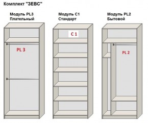 Шкаф распашной серия «ЗЕВС» (PL3/С1/PL2) в Кургане - kurgan.mebel24.online | фото 2