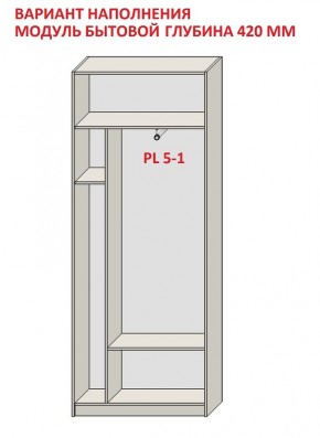 Шкаф распашной серия «ЗЕВС» (PL3/С1/PL2) в Кургане - kurgan.mebel24.online | фото 4