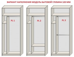 Шкаф распашной серия «ЗЕВС» (PL3/С1/PL2) в Кургане - kurgan.mebel24.online | фото 5