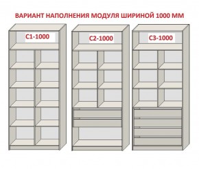 Шкаф распашной серия «ЗЕВС» (PL3/С1/PL2) в Кургане - kurgan.mebel24.online | фото 7