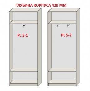 Шкаф распашной серия «ЗЕВС» (PL3/С1/PL2) в Кургане - kurgan.mebel24.online | фото 8