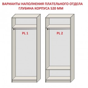 Шкаф распашной серия «ЗЕВС» (PL3/С1/PL2) в Кургане - kurgan.mebel24.online | фото 9