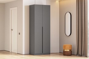 Шкаф ШК-5 + 2 полки (800) Графит серый в Кургане - kurgan.mebel24.online | фото 2