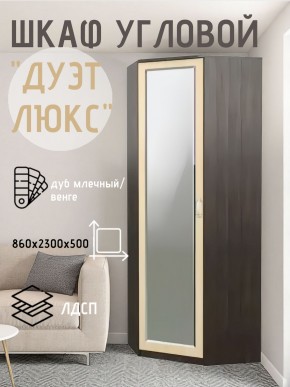 Шкаф угловой Дуэт Люкс с зеркалом в Кургане - kurgan.mebel24.online | фото 5