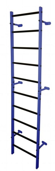 Шведская стенка (профиль) 450х2210мм цв. синий-черный в Кургане - kurgan.mebel24.online | фото
