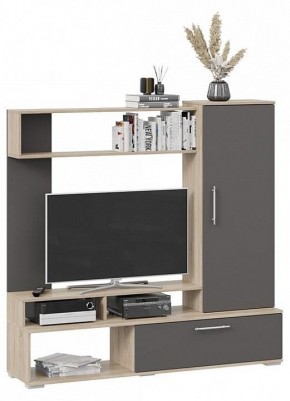 Стенка для гостиной Сиена в Кургане - kurgan.mebel24.online | фото 2
