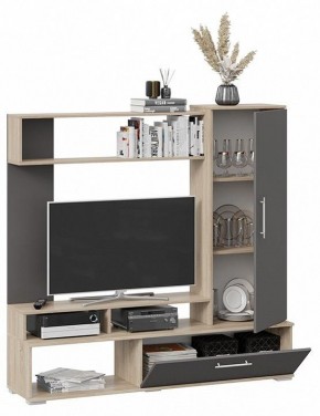 Стенка для гостиной Сиена в Кургане - kurgan.mebel24.online | фото 3