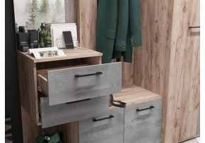 Стенка для прихожей Бостон в Кургане - kurgan.mebel24.online | фото 4