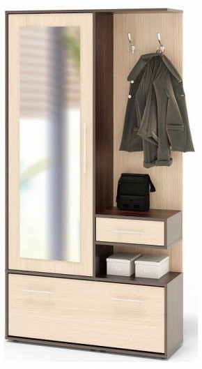 Стенка для прихожей ВШ-6 в Кургане - kurgan.mebel24.online | фото