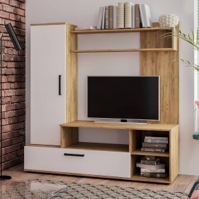 Гостиная Евро 2 (крафт/белый) в Кургане - kurgan.mebel24.online | фото