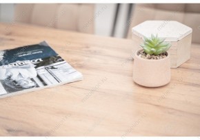 Стол обеденный Тринити Лофт 120 в Кургане - kurgan.mebel24.online | фото 6