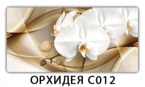 Стол раздвижной Трилогия с фотопечатью Доска D111 в Кургане - kurgan.mebel24.online | фото 13