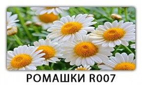 Стол раздвижной Трилогия с фотопечатью Доска D111 в Кургане - kurgan.mebel24.online | фото 15