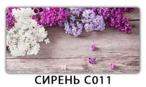 Стол раздвижной Трилогия с фотопечатью Доска D111 в Кургане - kurgan.mebel24.online | фото 16