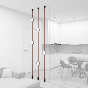 Светильник на растяжке Denkirs Belty SET DK55SET19-01-BR в Кургане - kurgan.mebel24.online | фото 3