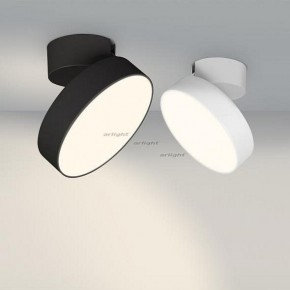 Светильник на штанге Arlight SP-RONDO-FLAP-R210-20W Day4000 (BK, 110 deg) 026453 в Кургане - kurgan.mebel24.online | фото 3