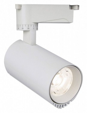 Светильник на штанге Escada 20031 20031TRA/01LED SWH в Кургане - kurgan.mebel24.online | фото