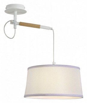 Светильник на штанге F-promo Eureka 3005-1P в Кургане - kurgan.mebel24.online | фото 4