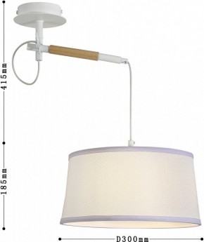 Светильник на штанге F-promo Eureka 3005-1P в Кургане - kurgan.mebel24.online | фото 5